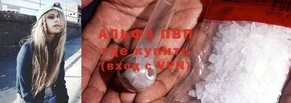 PSILOCYBIN Абаза