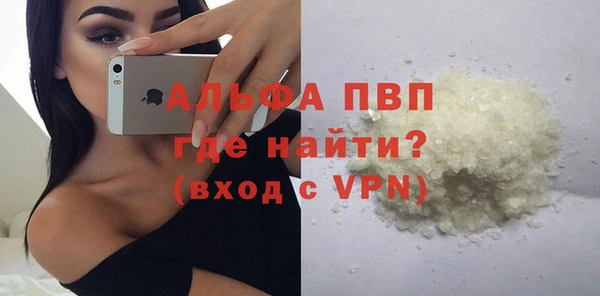 PSILOCYBIN Абаза