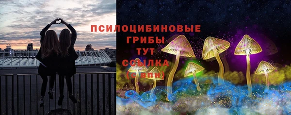 PSILOCYBIN Абаза