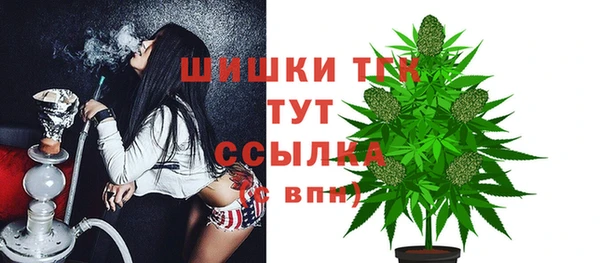 PSILOCYBIN Абаза