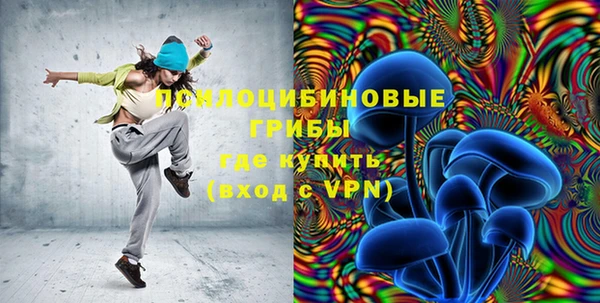 PSILOCYBIN Абаза