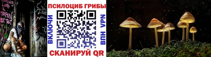 где найти наркотики  Горячеводский  Псилоцибиновые грибы Cubensis 